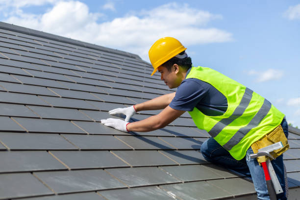 Best Affordable Roof Replacement  in Medpolis, IA