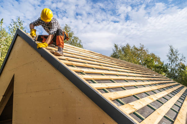 Best Roof Repair Specialists  in Medpolis, IA