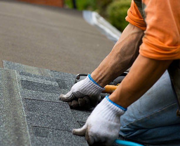 Best Flat Roof Repair Services  in Medpolis, IA