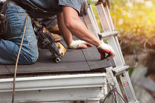 Best Roof Maintenance Services  in Medpolis, IA